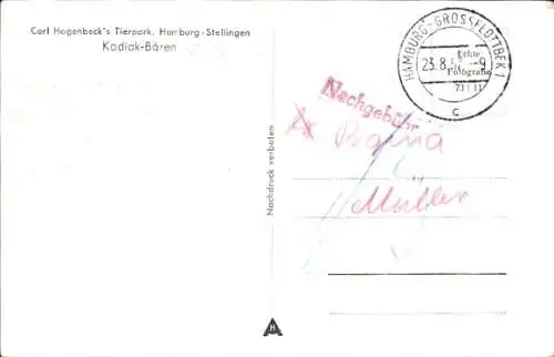 Ak Hamburg Eimsbüttel Stellingen, Carl Hagenbecks Tierpark, Kodiak Bären