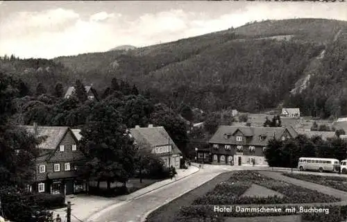 Ak Jonsdorf in Sachsen, Hotel Dammschenke, Buchberg