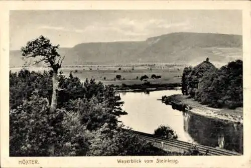 Ak Höxter in Nordrhein Westfalen, Weserblick vom Steinkrug, Bahngleise, Panorama