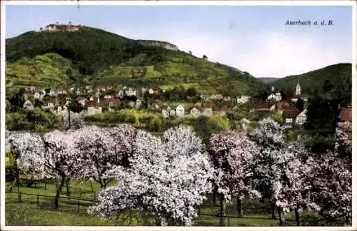 Ak Auerbach Bensheim an der Bergstraße Hessen, Blick auf das Schloss