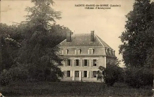 Ak Sainte Marie de Gosse Landes, Chateau d'Aranguisse