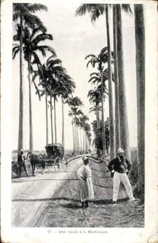 Ak Martinique, Eine Straße, Kutsche