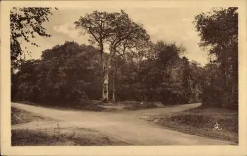 Ak Poissy Yvelines, Etoile de la Coudraie