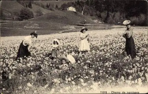 Ak Frauen und ihre Kinder pflücken Narzissen, Blumenwiese