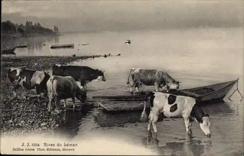 Ak Kühe am Fluss, Ruderboot, Leman