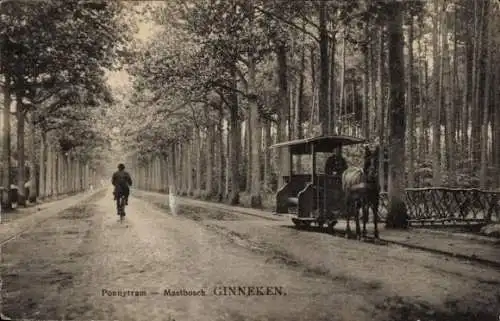 Ak Ginneken in Bavel Nordbrabant, Ponnytram, Mastbosch