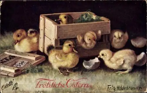 Künstler Ak Hildebrandt, Fritz, Glückwunsch Ostern, Entenküken in Kiste