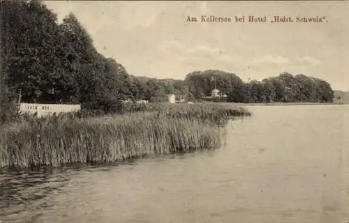 Ak Malente in Ostholstein, Kellersee, Hotel Holst. Schweiz, Panorama