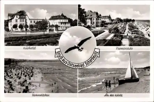 Ak Ostseebad Scharbeutz in Holstein, Promenade, Kurhotel, Strandleben, Küste, Segelboot, Möwe