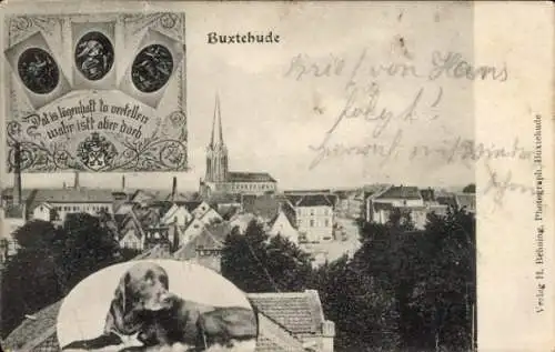 Ak Buxtehude in Niedersachsen, Teilansicht, Hund