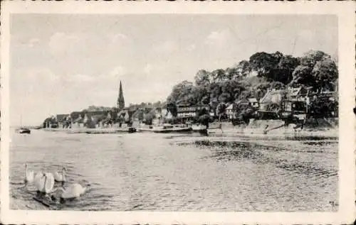 Ak Lauenburg an der Elbe, Gesamtansicht