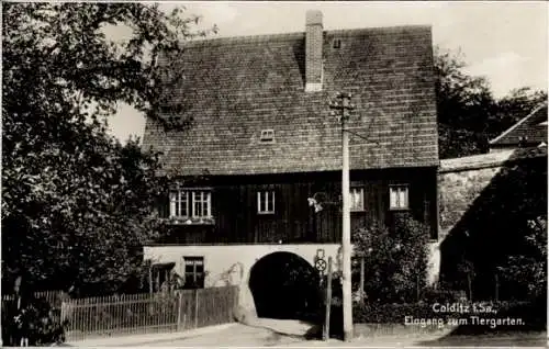 Ak Colditz in Sachsen, Eingang zum Tiergarten