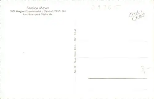 Ak Hagen Sprakensehl Niedersachsen, Pension Meyer, Am Naturpark Südheide, Waldweg, Eichenallee