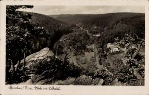 Ak Alexisbad Harzgerode am Harz, Selketal, Panorama