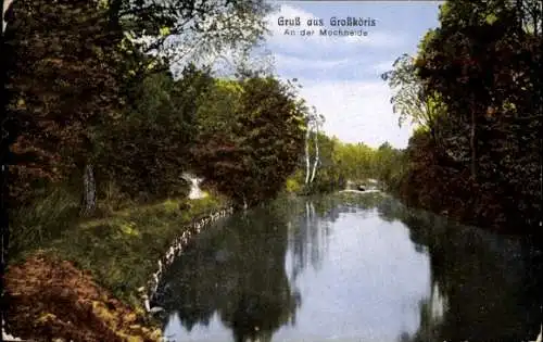 Ak Teupitz in Brandenburg, bei der Seevemündung, Wald