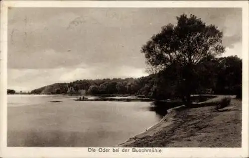 Ak Buschmühle Frankfurt an der Oder, Ufermotiv