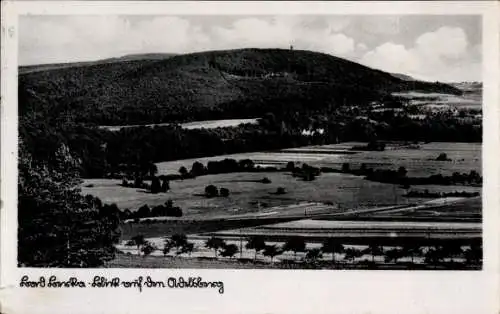 Ak Bad Berka in Thüringen, Blick auf den Adelsberg