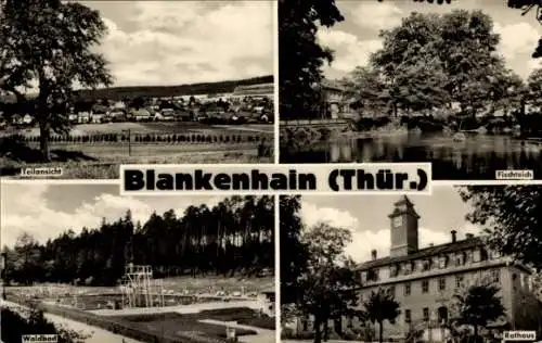 Ak Blankenhain in Thüringen, Fischteich, Rathaus, Waldbad, Teilansicht