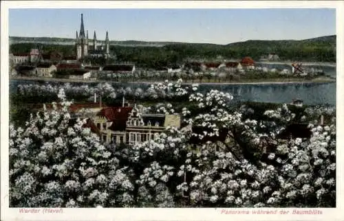 Ak Werder an der Havel, Panorama während der Baumblüte