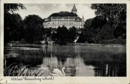 Ak Wiesenburg in der Mark, Schloss, Schwan, Gewässer