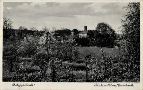 Ak Bad Belzig in der Mark, Blick auf Burg Eisenhardt