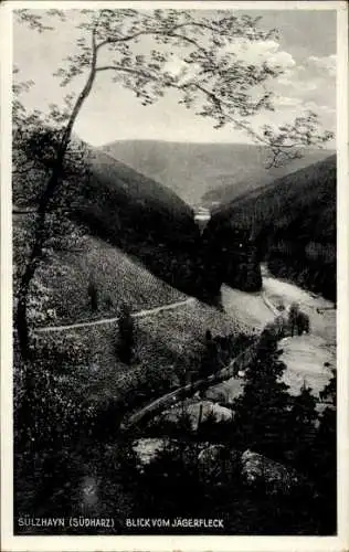 Ak Sülzhayn Ellrich im Harz Thüringen, Blick vom Jägerfleck