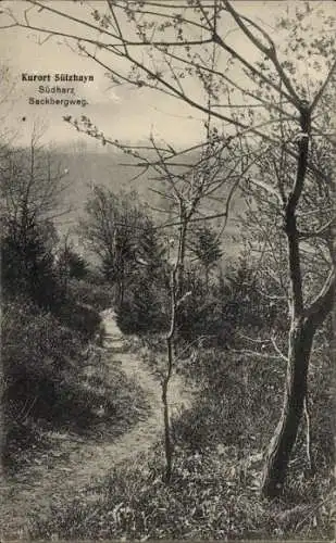 Ak Sülzhayn Ellrich im Harz Thüringen, Sackbergweg