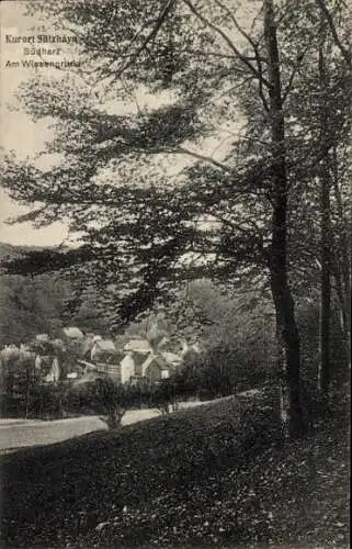 Ak Sülzhayn Ellrich im Harz Thüringen, Am Wiesengrund