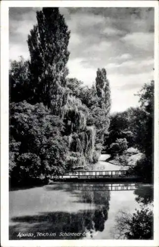 Ak Apolda in Thüringen, Teich im Schötener Grund