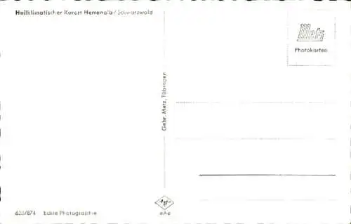 Ak Bad Herrenalb im Schwarzwald, Panorama
