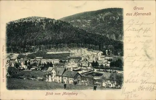 Ak Bad Herrenalb im Schwarzwald, Panorama, Blick vom Maienberg