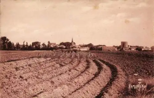 Ak Saint Denis Ile d'Oléron Charente Maritime, Blick über Äcker zum Ort