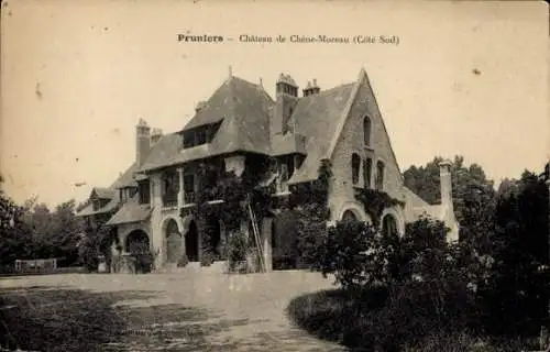 Ak Pruniers Loir et Cher, Chateau de Chene-Moreau Cote Sud