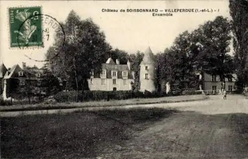 Ak Villeperdue Indre et Loire, Chateau de Boisbonnard