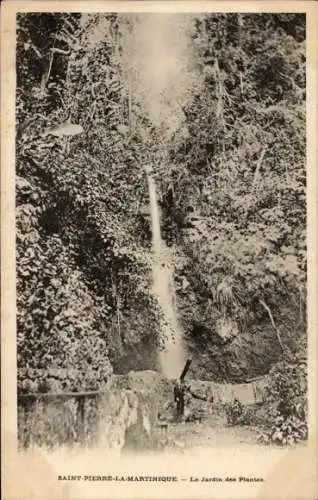 Ak Saint Pierre Martinique, Le Jardin des Plantes, Wasserfall im botanischen Garten