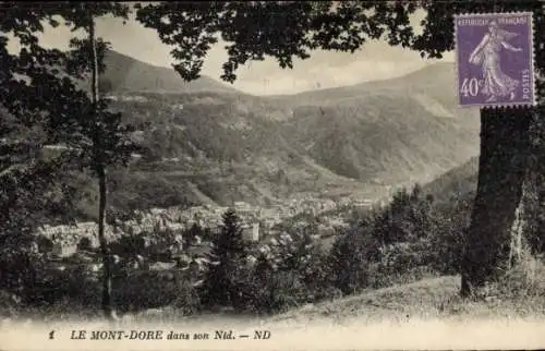 Ak Le Mont Dore Puy de Dôme, Panorama, in seinem Nest