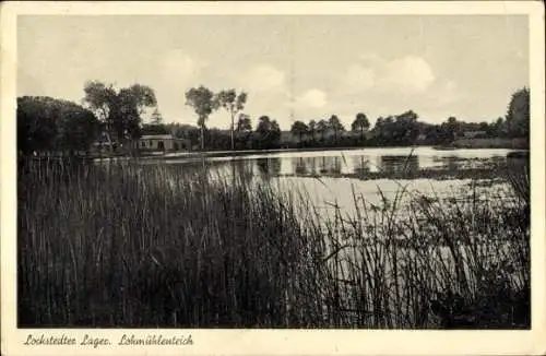 Ak Lockstedt in Holstein, Lockstedter Lager, Lohmühlenteich, Schilf