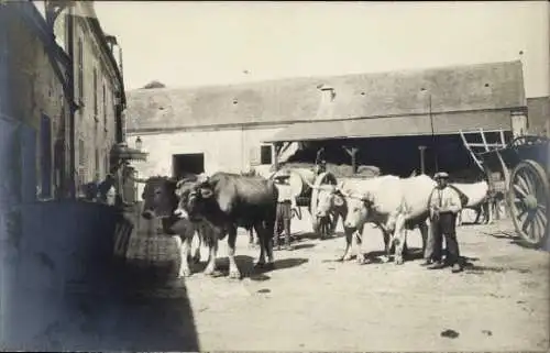 Ak Bauernhof, Bauer, Rinder, Kuhstall