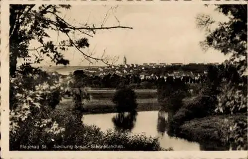 Ak Glauchau in Sachsen, Siedlung Gesau Schönbörnchen, Panorama vom Ort