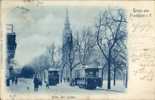 Ak Frankfurt an der Oder, Unter den Linden, Straßenbahn Nr. 6 und Nr. 2