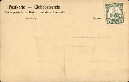 Ak Deutsch Ostafrika Tansania, Wildschweine, Jagdbeute, Jagd