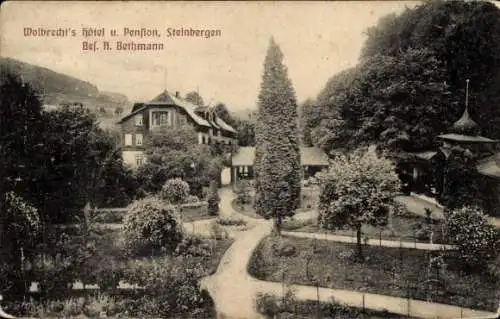 Ak Steinbergen Rinteln in Niedersachsen, Wolbrecht's Hotel und Pension