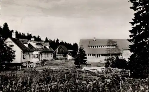 Ak Hahnenklee Bockswiese Goslar im Harz, Jugendherberge, Eigenheim Landesverband Hannover