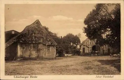 Ak Lüneburger Heide, Alter Heidehof