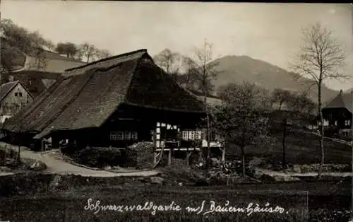 Ak Schwarzwald, Bauernhaus, Bergspitze