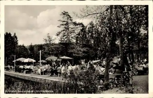 Ak Ebni Kaisersbach in Baden Württemberg, Ebnisee, Waldschenke