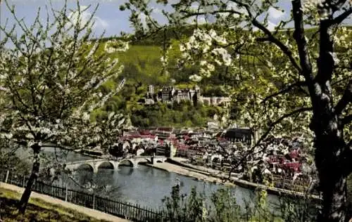 Ak Heidelberg am Neckar, Panorama, Blüten, Brücke, Vers