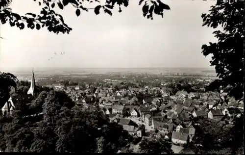 Ak Auerbach Bensheim an der Bergstraße Hessen, Panorama