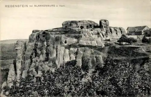 Ak Blankenburg am Harz, Burg Regenstein