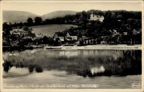 Ak Ilsenburg im Harz, Forellenteich, Hotel Waldhöhe